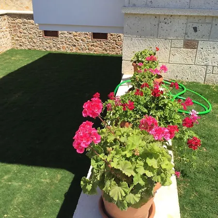 Allegria Butik Hotel Cesme