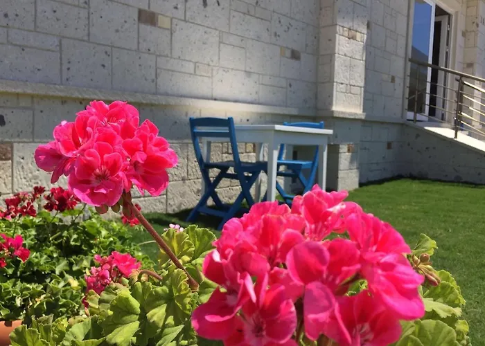 酒店 Allegria Butik 2*