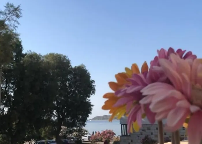 Hotel Allegria Butik Çeşme